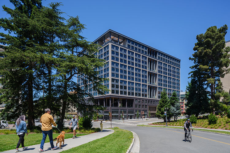 A street view shows the exterior of Anchor House and its surrounding area. People are walking their dogs on the sidewalk near trees, and bikers are riding in the street.